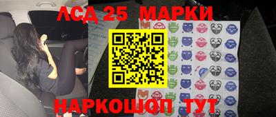 стафф Гай