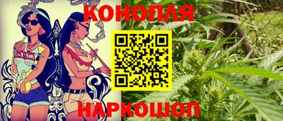 стафф Гай