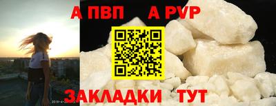 стафф Гай