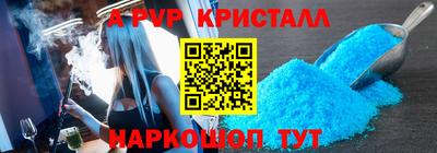 стафф Гай