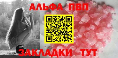 стафф Гай