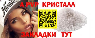 стафф Гай