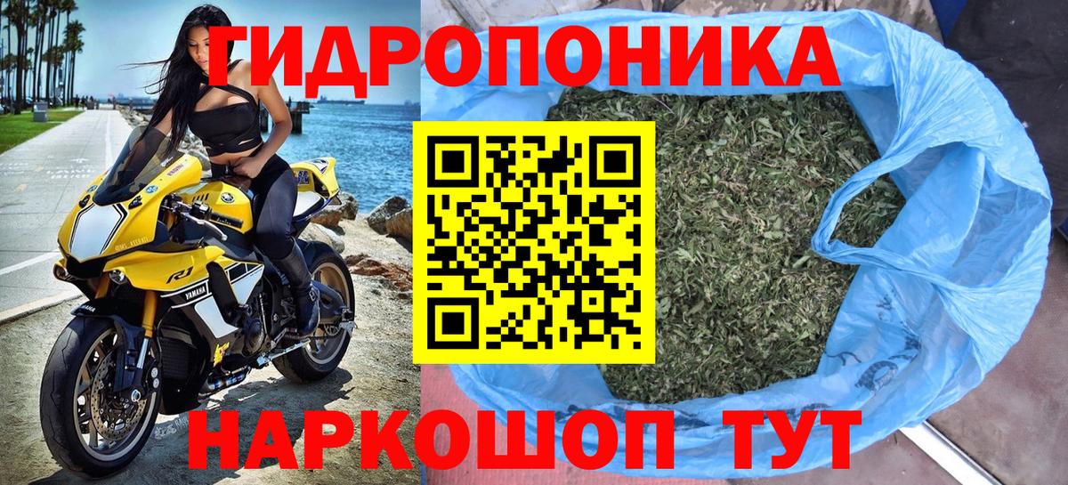 Тосно  МАРИХУАНА марихуана  Шишки марихуана VHQ  Вход с VPN 